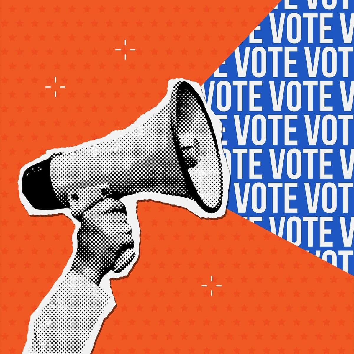 Learn Vote Act